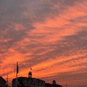 Meet your Posher, Tessa